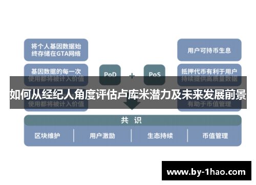 如何从经纪人角度评估卢库米潜力及未来发展前景