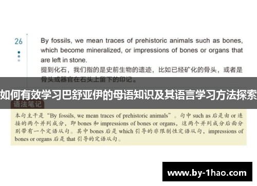 如何有效学习巴舒亚伊的母语知识及其语言学习方法探索