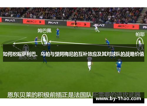 如何挖掘萨利巴、乌帕与楚阿梅尼的互补效应及其对球队的战略价值