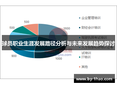 球员职业生涯发展路径分析与未来发展趋势探讨